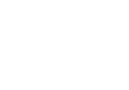 今治名物 焼豚玉子飯